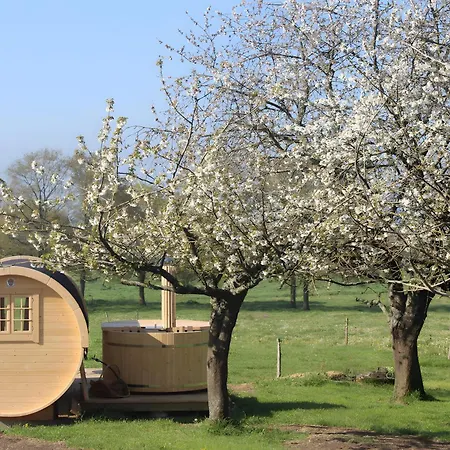 Barrel Papilles En Escapade